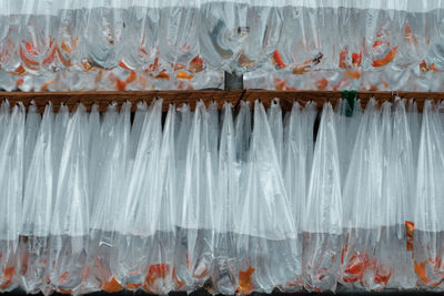 Close-up of fish for sale