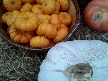 Close-up of pumpkins for sale