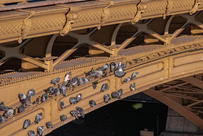 Pigeons are sitting on the bridge's pillar.