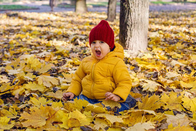 Boy in a yellow jacket and a red knitted hat sit in the autumn forest