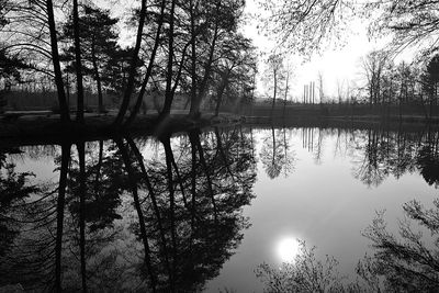 Scenic view of lake in forest against sky