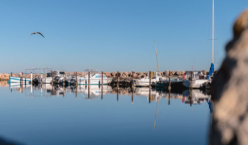 Sailboats moored in harbor against clear sky