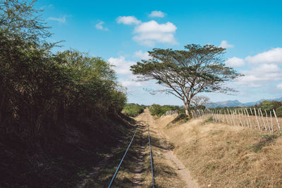 Bare trees on railroad track against sky