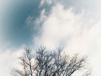 Low angle view of bare tree against sky