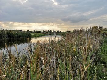 Scenic view of lake against sky during sunset