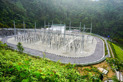 High angle view of plants in park