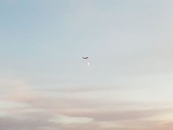 Low angle view of airplane flying in sky