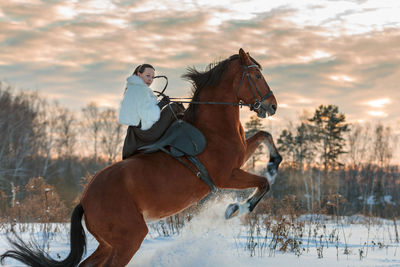A girl in a white cloak rides a brown horse in winter. golden hour, setting sun.