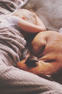 High angle view of girl with dog sleeping on bed