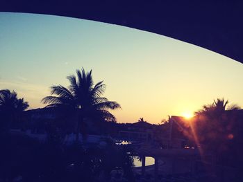 Silhouette palm trees against clear sky during sunset