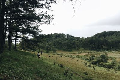 Scenic view of green landscape against sky