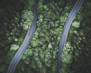 Aerial view of roads in forest 