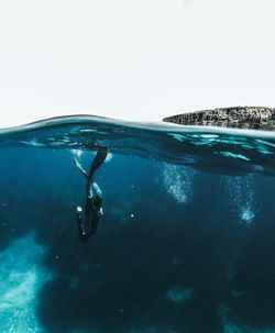 Person swimming in sea