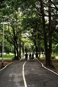 Rear view of people walking on road