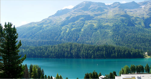 Scenic view of lake and mountains