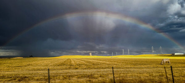 Scenic view of field against rainbow in sky