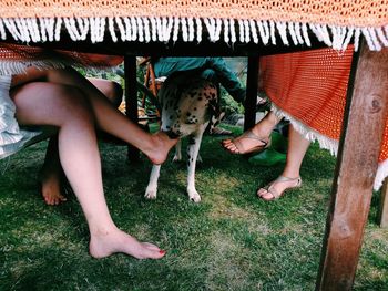 Low section of people with dog sitting at table