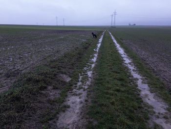 Road passing through field