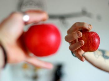Close-up of hand holding apple