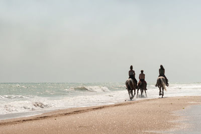 Horse riding on the beach