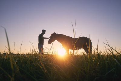 Silhousette of man while stroking of therapy horse on meadow at sunset. 