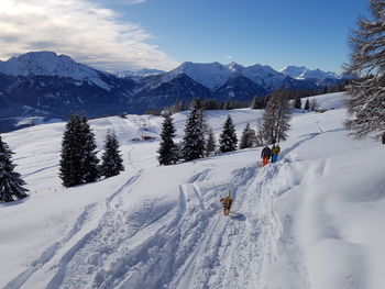 People hiking in snow covered mountains