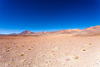 Scenic view of desert against clear blue sky