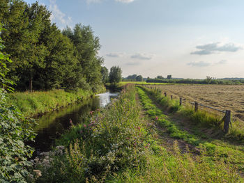 Scenic view of agricultural field against sky