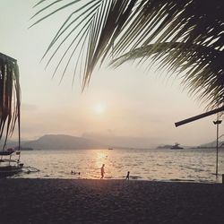 sea