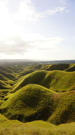 Tenau hill, sumba island