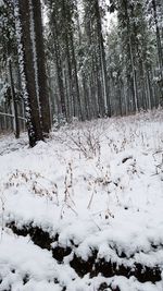 Scenic view of snow covered land