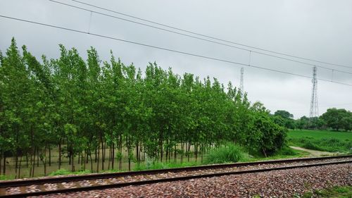 Railroad tracks amidst trees on field against sky