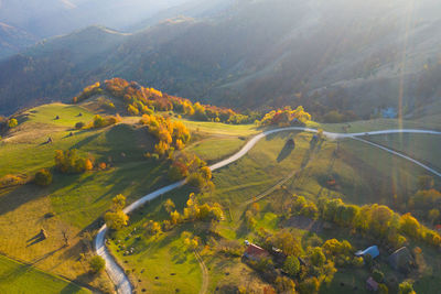 Aerial view of road amidst trees during autumn