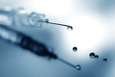 Close-up of water drops on blue background