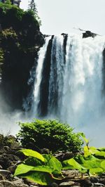 Scenic view of waterfall