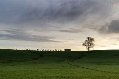 Scenic view of field against sky during sunset