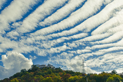 Low angle view of trees against sky