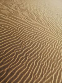 Full frame shot of sand dune