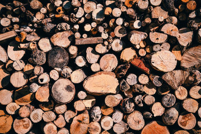 Full frame shot of logs in forest