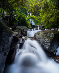 Scenic view of waterfall in forest