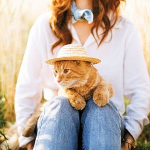 Midsection of woman with cat sitting outdoors