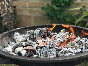 Close-up of leaves in water