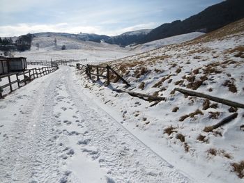 Ski tracks in powder snow on hill