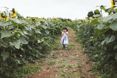 Full length of girl walking amidst plants