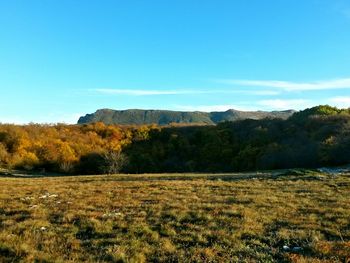 Scenic view of landscape against sky