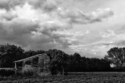 Low angle view of trees on field against sky