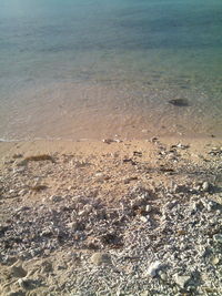 High angle view of beach