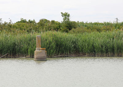 Wooden posts on field by lake against sky