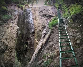 Railroad tracks in forest