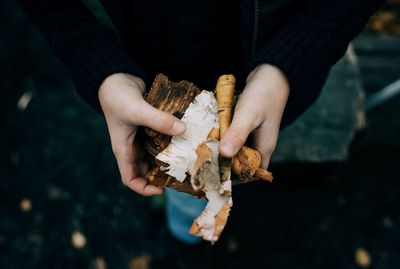 Child's hands holding wood to start a fire